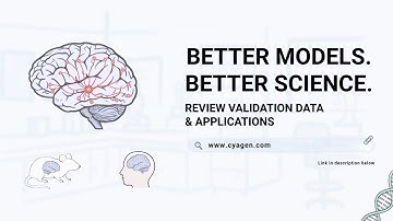 Why AD Research Stalls?  The Humanized Mouse Model Solution for 3R/4R Tau Pathology | Cyagen