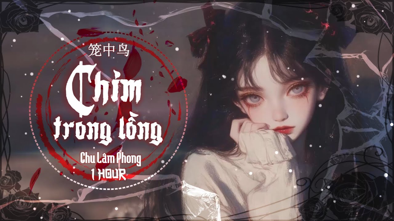 [1 HOUR][Vietsub] Chim Trong Lồng (Remix) - Chu Lâm Phong || 笼中鸟 (节奏版) - 周林枫