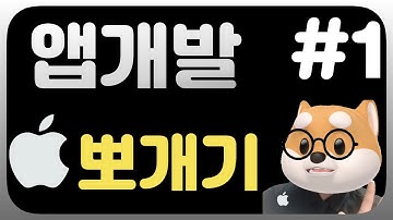 아이폰개발 시작하기 / 초보개발자 / 기본 튜토리얼 / 스위프트 / 앱만들기