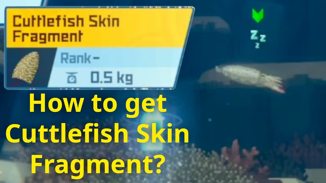 How to get Cuttlefish Skin Fragment? | Dave the Diver Guide - YouTube