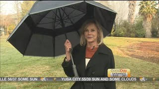 Weatherman Umbrella