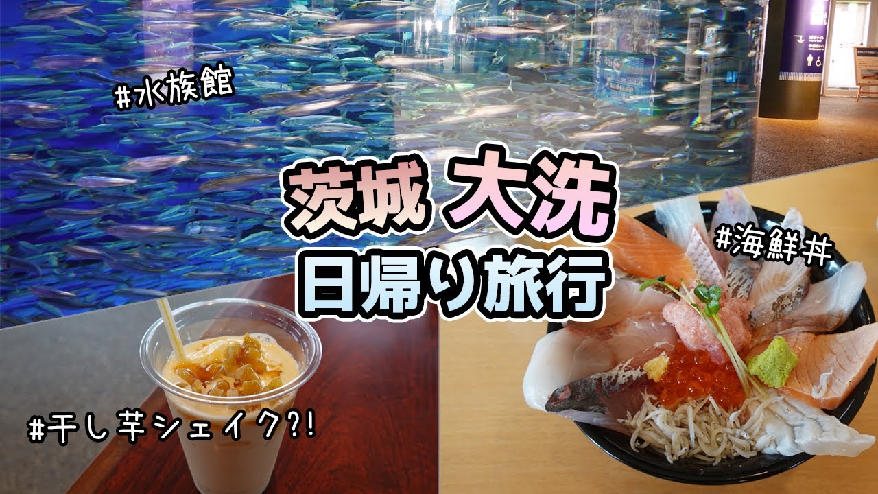 【茨城・大洗】海鮮丼から水族館まで！日帰り旅行を満喫♪