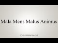 How To Say Mala Mens Malus Animus