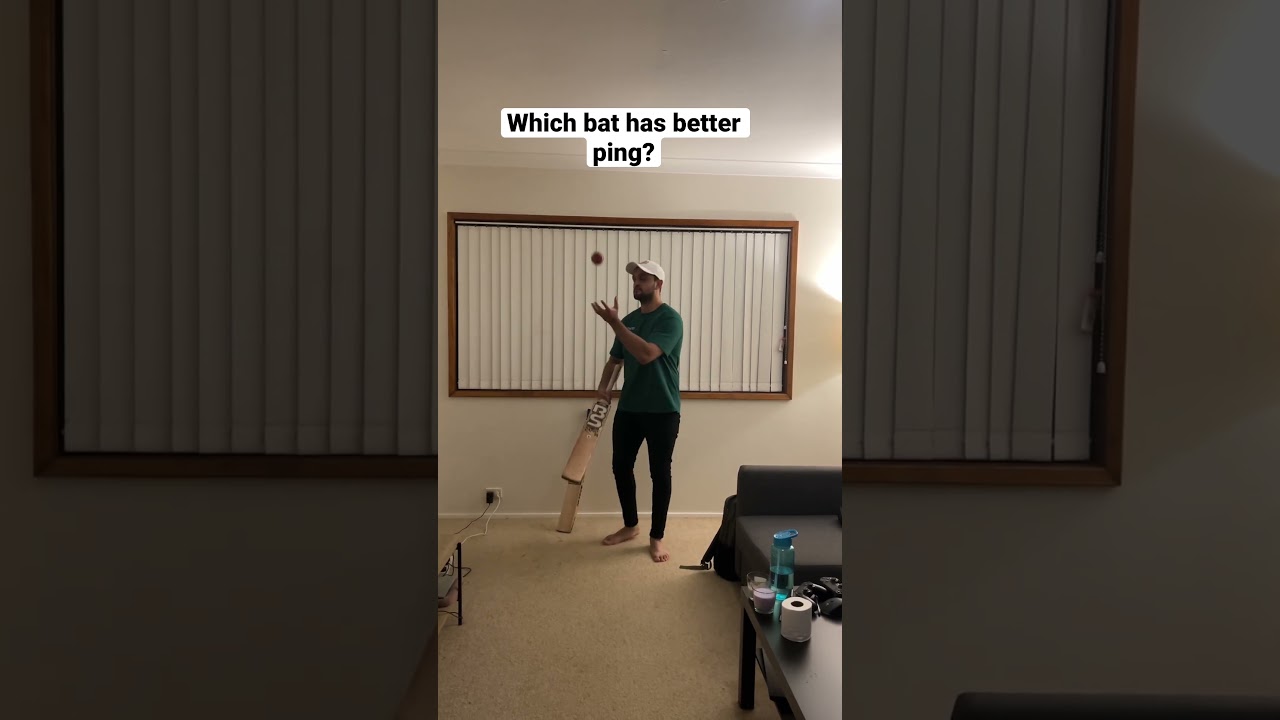 Cricket bat ping 
