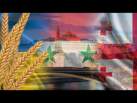 უკრაინიდან მოპარული ხორბალი და ბიზნესი საქართველოში | ვინ ეხმარება რუსეთს