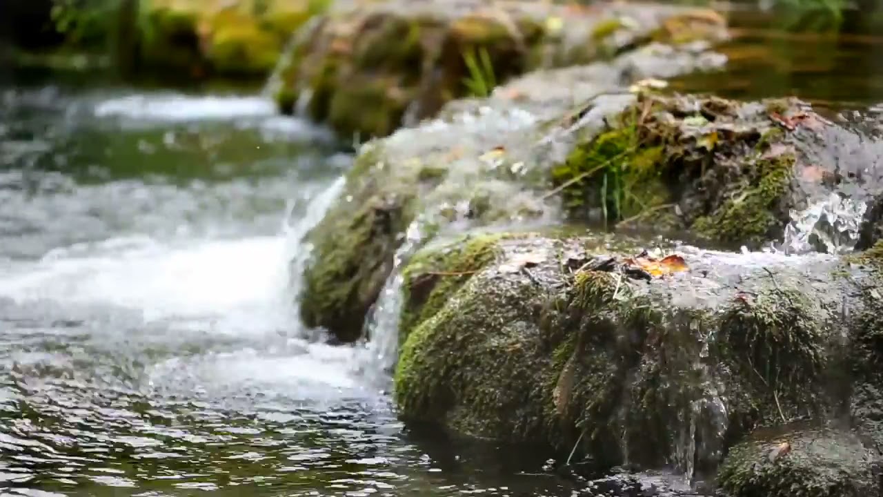 Relax Music for Stress Relief, Study Music, Sleep Music, Meditation Music