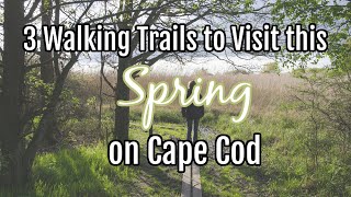 3 Cape Cod Walking Trails to Enjoy this Spring!