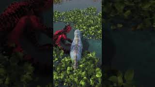 Crocs whooped my butt | #gtown526 on #Twitch