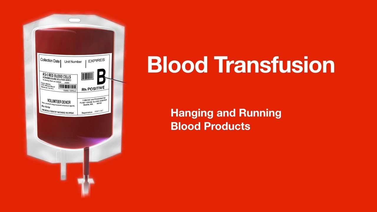 брюс ли 3д модель. Weyes blood the innocents. блуд ханг. фильм ужасов охлаждающая кровь. Weyes blood.