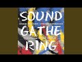 Miniature de la vidéo de la chanson Sound Gathering