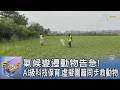 氣候變遷動物告急! AI級科技保育、虛擬圍籬同步救動物｜FOCUS午間新聞 20260807 @tvbsfocus