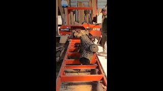 Sawing through some Black Walnut