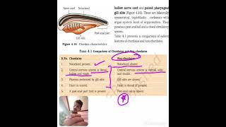 animal kingdom important topic / . trick for learn/RE-NEET 2026 #neetexam #neetaspiran
