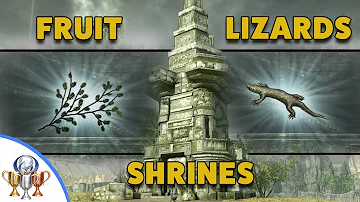 What does eating fruit do in Shadow of the Colossus?