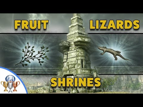 Shadow of the Colossus PS4 Remake - All Fruit, Shrines and Lizard Collectible Locations