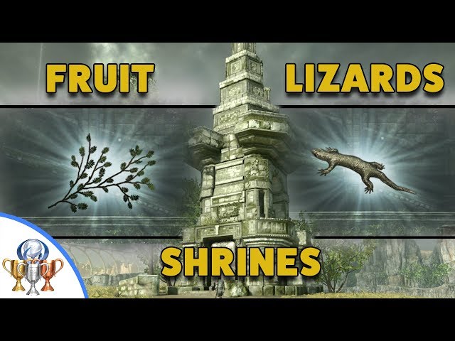 Shadow of the Colossus lizard location map - find all the lizards