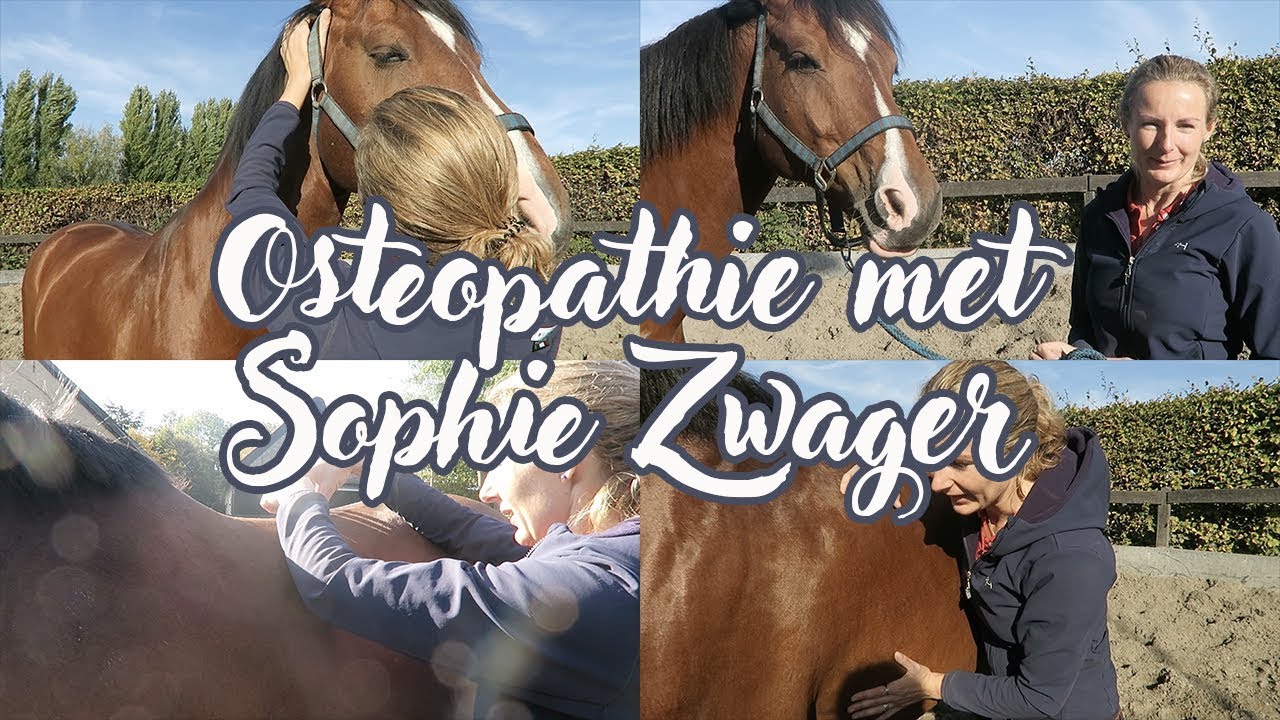 OSTEOPATHIE MET SOPHIE ZWAGER - In de Paarden