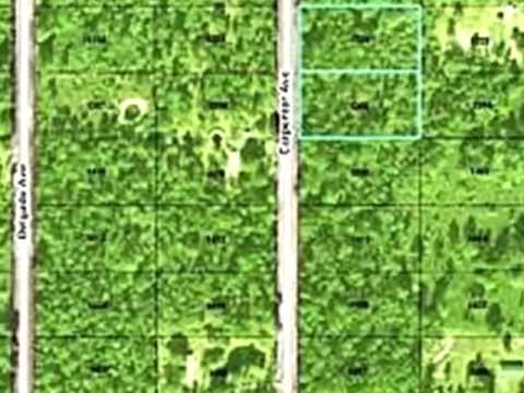 10520 Carpenter Ave, Hastings, FL home video tour