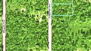 10520 Carpenter Ave video tour