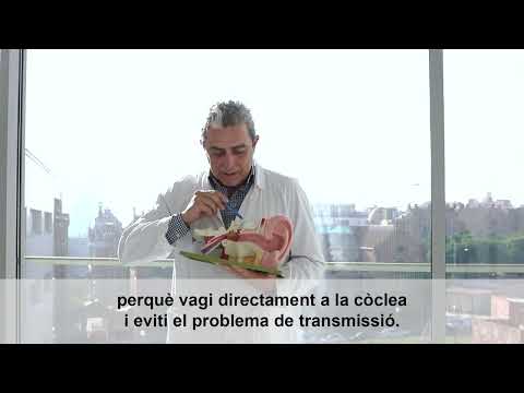 Vídeo: Quins són els tipus de fitorremediació?