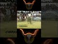 MOTOSIERRA DEL DF VS EL RANCHERO DEL CHINO MORALES EN TLALNEPANTLA MORELOS