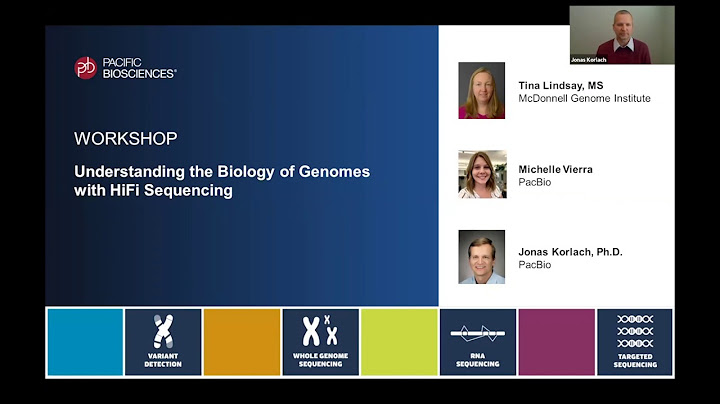 Understanding the Biology of Genomes with HiFi Sequencing - 天天要聞