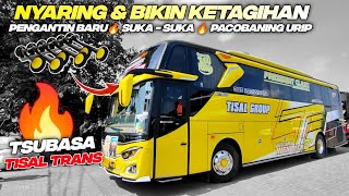 NYARING BANGET🔥Basuri BIKIN KETAGIHAN, TELOLET BASURI ALZIFA V7 [12 CORTAS] BUS TISAL TRANS TSUBASA