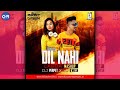 Dil nahi lagda mashup  dj perpet  dj dmesh  bollywood remix 