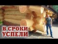 Баня из кедра большого диаметра. Огромная кедровая баня.