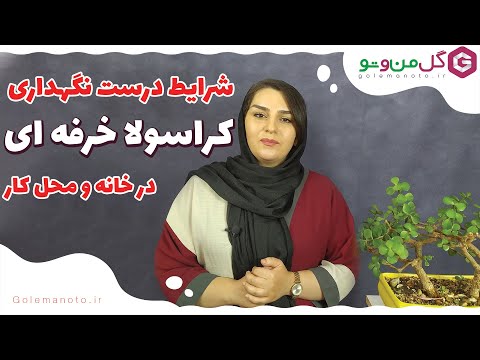 تصویری: چه زمانی خرفه را اصلاح کنیم؟