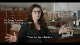 Department Of Archaeology - Archaeozoology Lab