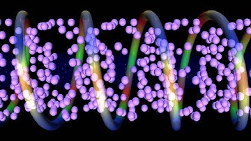 3d Stereogram Animation 3dw090915