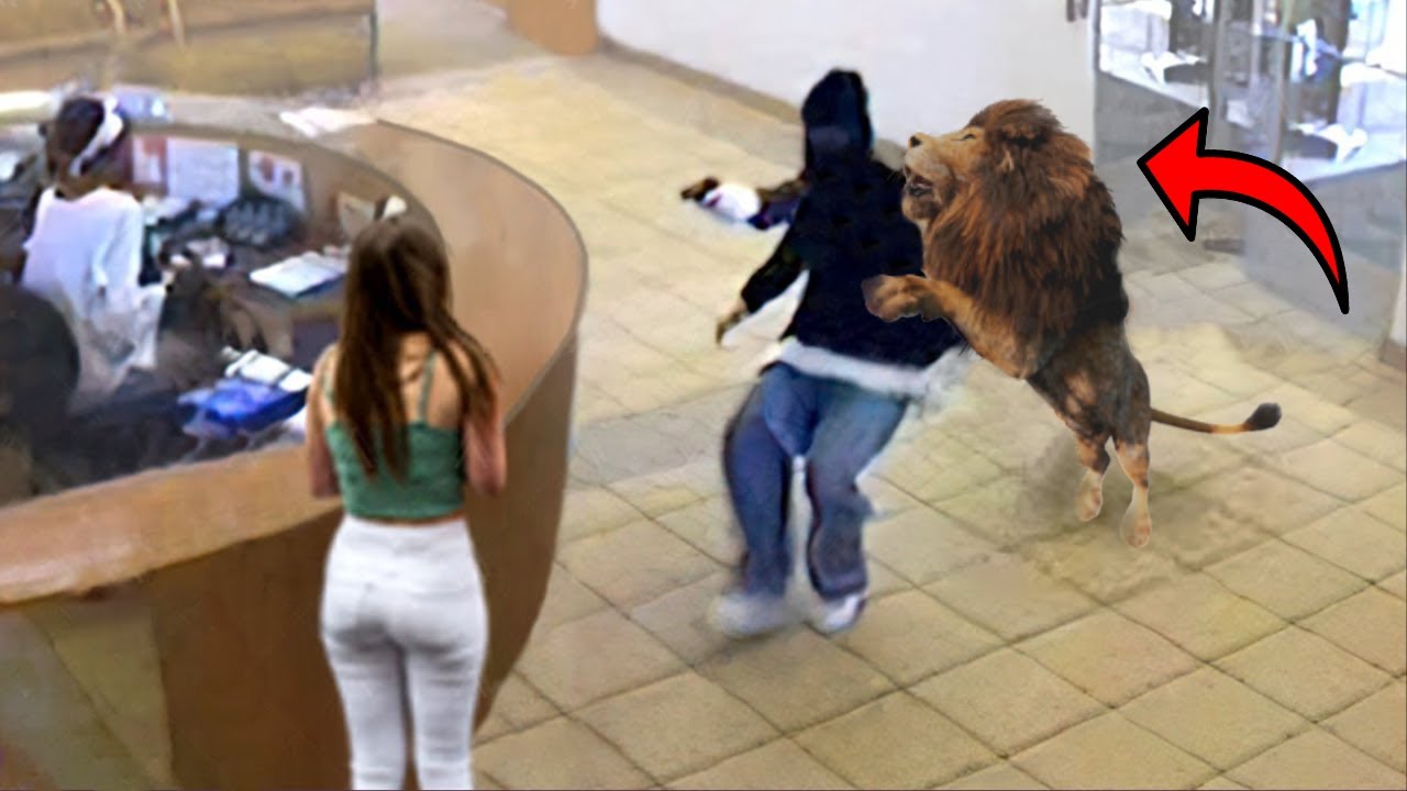 15 Animales Salvajes que Salvaron Vidas Humanas !