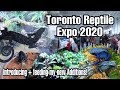 Reptile Expo January 2020 (SEE WHAT I BROUGHT HOME WITH ME!)