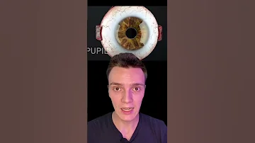 Вот как глаза работают на самом деле...