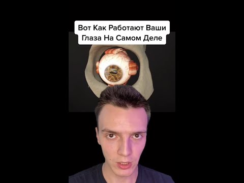Вот как глаза работают на самом деле...