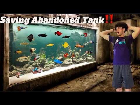 Saving Abandoned Fish Tank!!! - YouTube