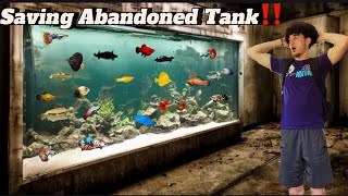 Saving Abandoned Fish Tank!!!