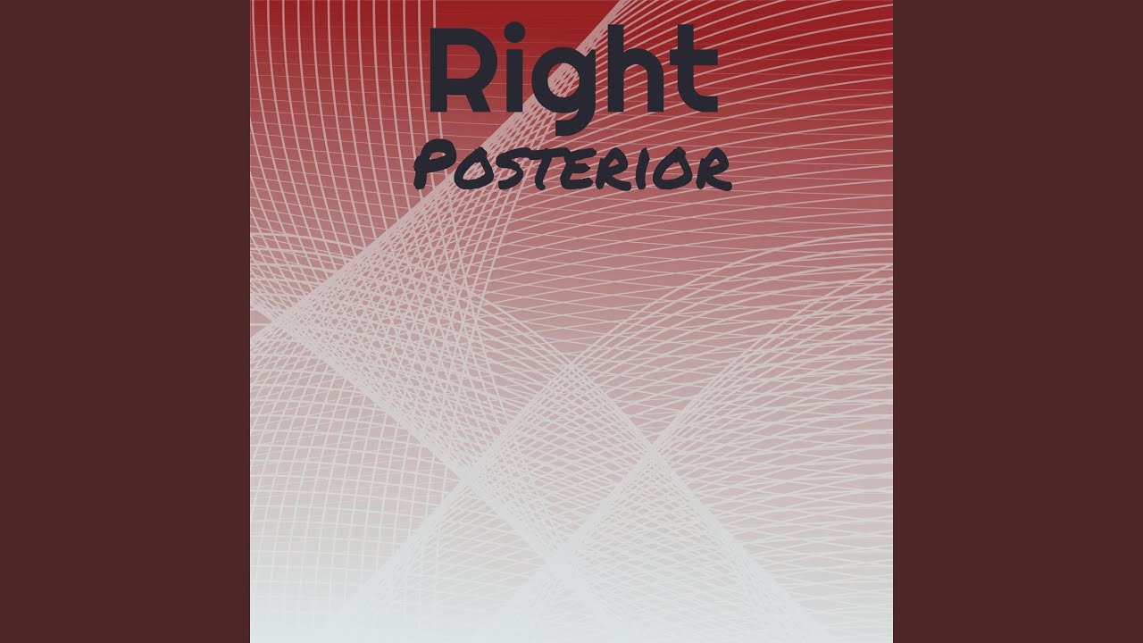 あり様専用です ルイヴィトン ダミエ ベレムmm 廃盤 レア 本物