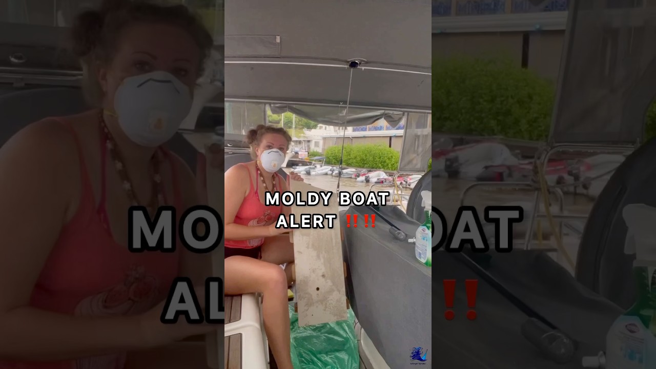 ⁣MOLDY BOAT ALERT ‼️ This was a bad one… 🙈😷😵 #boatlife #diy #reels