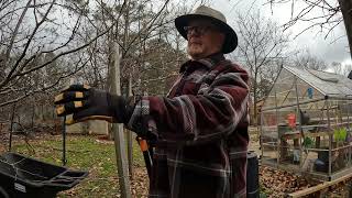 Pruning Fruit Trees Like a Boss for Max Fruit Size and Yield by The Back Garden Yard  298 views 3 months ago 20 minutes