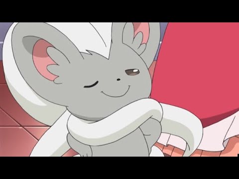 This Cinccino BUFF Will Break Everything