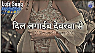 Dil Lagaib Devarwa Se Lofi Song (( Slowed+Reverb )) New Bhojpuri Lofi Song #Pramod Premi #Lofi Song