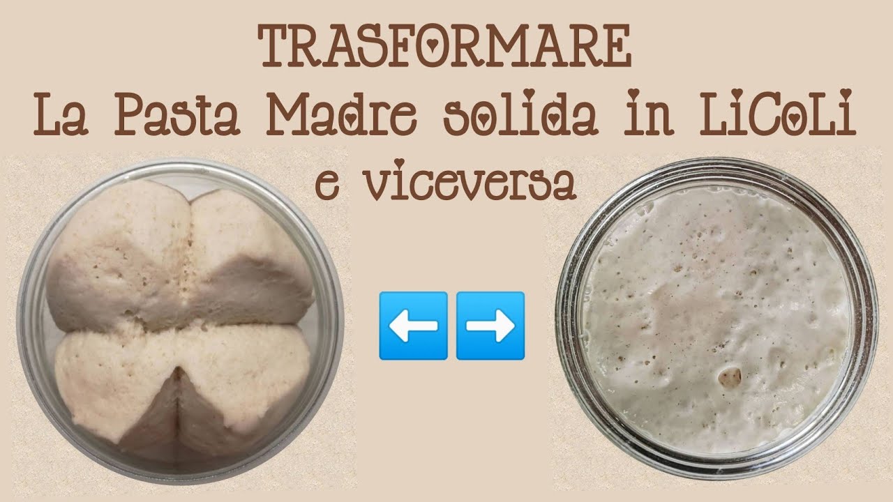 TRASFORMARE LA PASTA MADRE in LICOLI