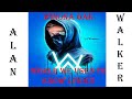 Alan Walker, Winona Oak - World We Used To Know Lyrics