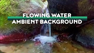 Gentle streams spider silk nature woven wonders for relaxation | July 2025 1 hour ambient background