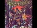 Jungle rot  slaughter the weak 1997 las tropas del metal foro