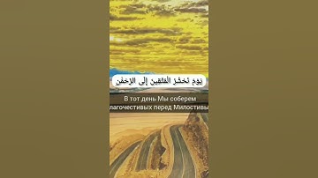 القارئ الشيخ محمد اللحيدان مترجم حالات واتس اب