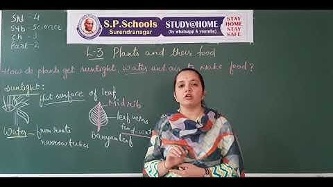 STD 4 CBSE | SCIENCE LEC 9 | S P SCHOOL SURENDRANAGAR