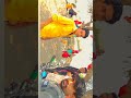 Haryanvi song viral youtubeshorts